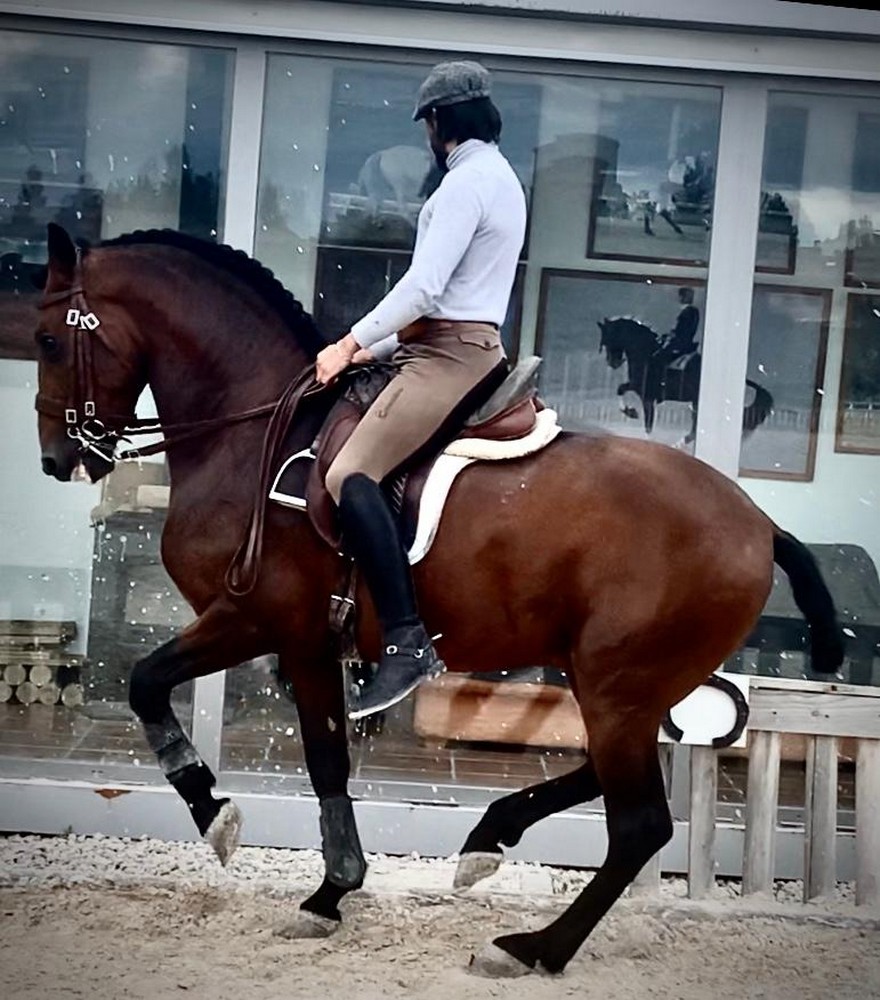 #yoentrenoencasa con Roberto Armendáriz